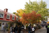DSC06263.JPG.small.jpeg