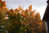 DSC06264.JPG.small.jpeg