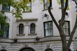 DSC06304.JPG.small.jpeg
