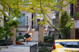 DSC06309.JPG.small.jpeg