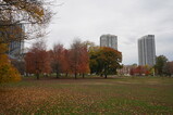 DSC06313.JPG.small.jpeg