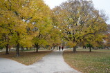DSC06316.JPG.small.jpeg