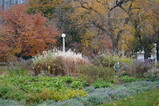 DSC06325.JPG.small.jpeg
