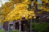 DSC06328.JPG.small.jpeg