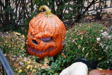 DSC06333.JPG.small.jpeg