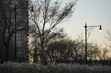 DSC06352_e.JPG.small.jpeg