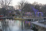 DSC06366.JPG.small.jpeg