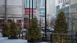 DSC06381_e.JPG.small.jpeg