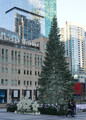 DSC06387_e.JPG.small.jpeg