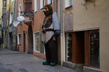 DSC06422.JPG.small.jpeg