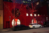 DSC06603.JPG.small.jpeg