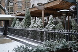 DSC06604.JPG.small.jpeg