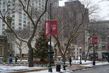 DSC06606.JPG.small.jpeg