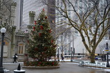 DSC06611.JPG.small.jpeg