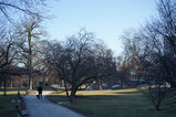 DSC06619.JPG.small.jpeg