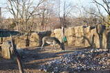 DSC06625.JPG.small.jpeg
