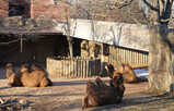 DSC06629_e.JPG.small.jpeg