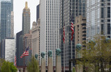DSC06728_e.JPG.small.jpeg