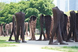 DSC06783.JPG.small.jpeg