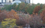 DSC07959_e.JPG.small.jpeg