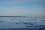 DSC08313_e.JPG.small.jpeg