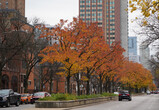 DSC00176_e.JPG.small.jpeg