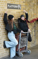 DSC00354_e.JPG.small.jpeg