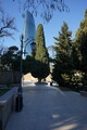 DSC00495.JPG.small.jpeg