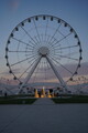 DSC00540.JPG.small.jpeg