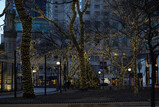DSC00632_e.JPG.small.jpeg