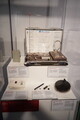 DSC00716.JPG.small.jpeg