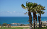 DSC00767_e.JPG.small.jpeg