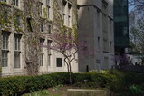 DSC00800.JPG.small.jpeg