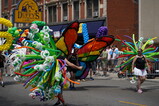 DSC00983.JPG.small.jpeg