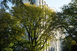 DSC01957.JPG.small.jpeg