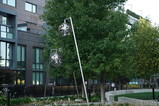 DSC01960.JPG.small.jpeg