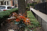 DSC02412.JPG.small.jpeg