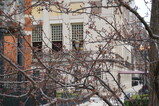 DSC02416.JPG.small.jpeg