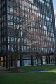 DSC02429.JPG.small.jpeg