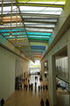 DSC02441.JPG.small.jpeg