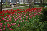 DSC02459.JPG.small.jpeg