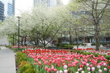 DSC02463.JPG.small.jpeg