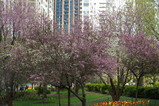 DSC02465_e.JPG.small.jpeg