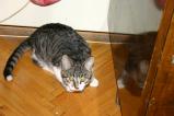 img088.jpeg.small.jpeg