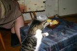 img091.jpeg.small.jpeg