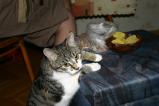 img092.jpeg.small.jpeg