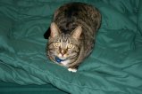 img020.jpeg.small.jpeg
