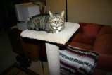 img029.jpeg.small.jpeg