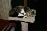 img030.jpeg.small.jpeg
