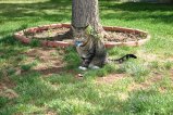 img032.jpeg.small.jpeg